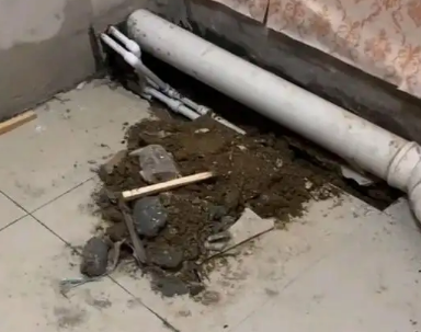 松桃卫生间漏水检测哪家好